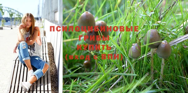 меф Бородино